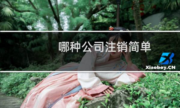 哪种公司注销简单