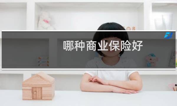 哪种商业保险好