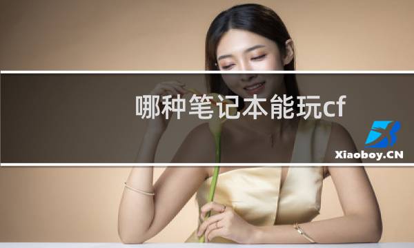 哪种笔记本能玩cf