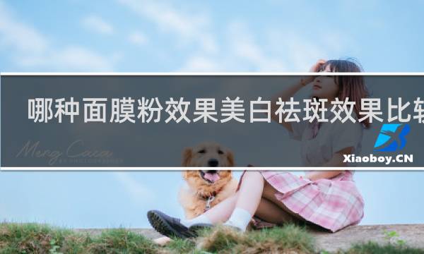 哪种面膜粉效果美白祛斑效果比较好