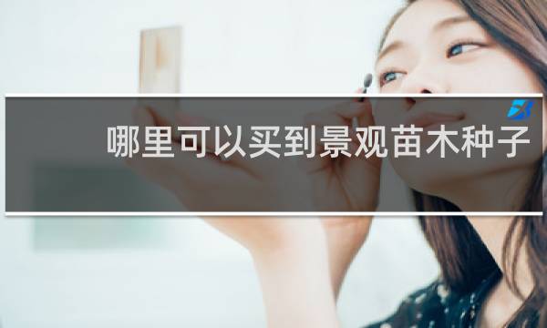 哪里可以买到景观苗木种子