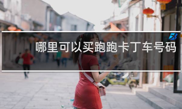 哪里可以买跑跑卡丁车号码