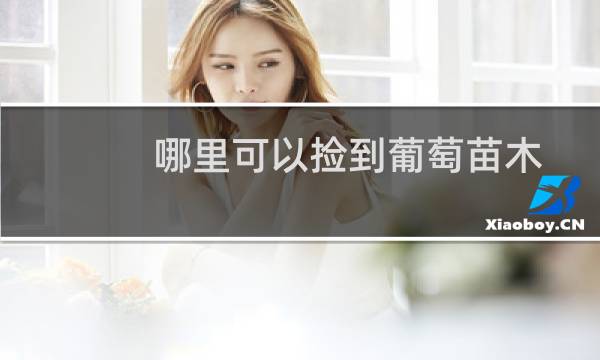 哪里可以捡到葡萄苗木