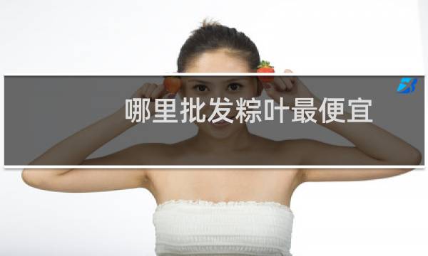 哪里批发粽叶最便宜