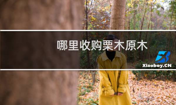 哪里收购栗木原木