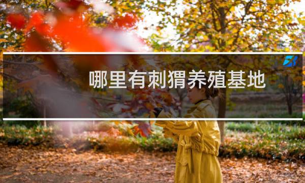 哪里有刺猬养殖基地