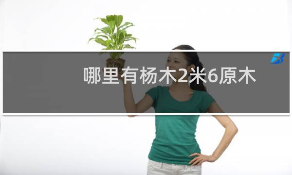 哪里有杨木2米6原木