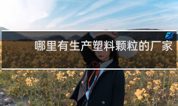 哪里有生产塑料颗粒的厂家