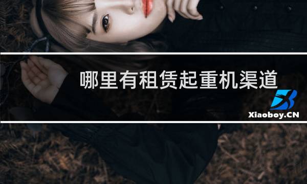 哪里有租赁起重机渠道