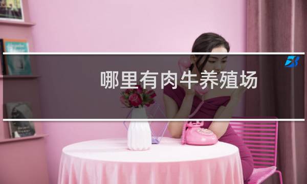 哪里有肉牛养殖场