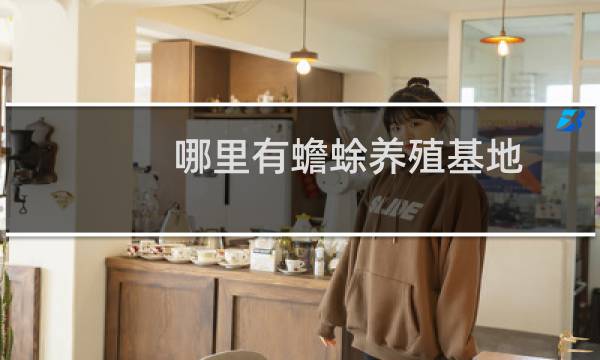哪里有蟾蜍养殖基地
