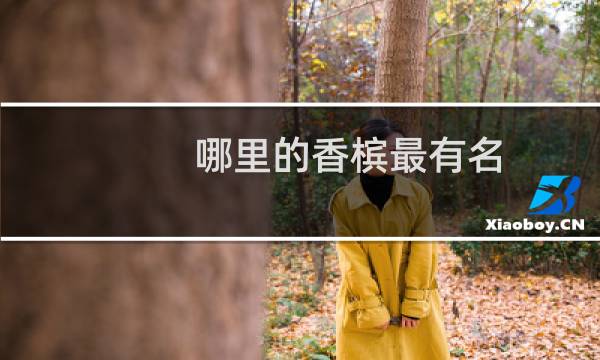 哪里的香槟最有名