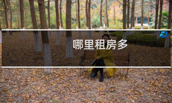 哪里租房多