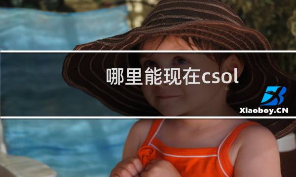 哪里能现在csol