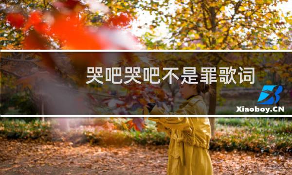 哭吧哭吧不是罪歌词