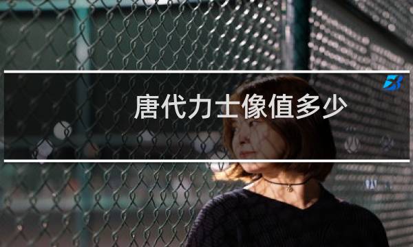 唐代力士像值多少