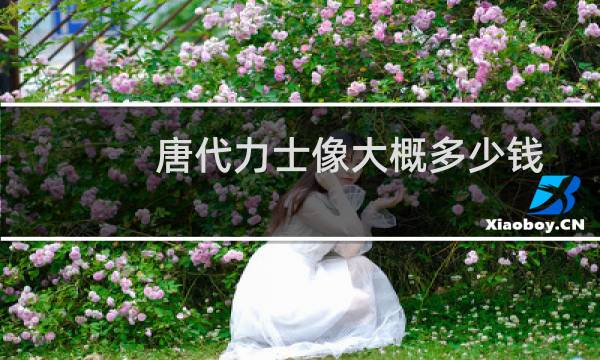 唐代力士像大概多少钱