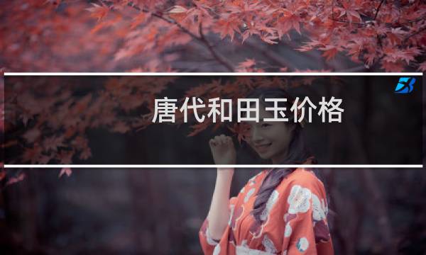 唐代和田玉价格