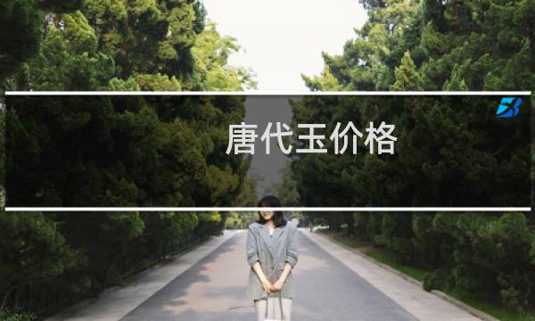 唐代玉价格