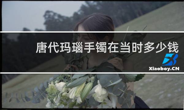 唐代玛瑙手镯在当时多少钱
