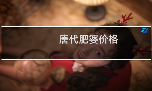 唐代肥婆价格