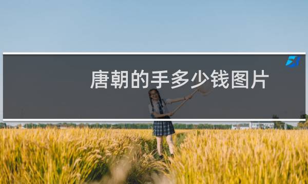 唐朝的手多少钱图片