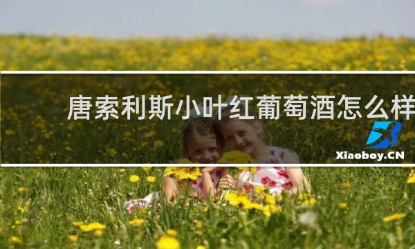 唐索利斯小叶红葡萄酒怎么样