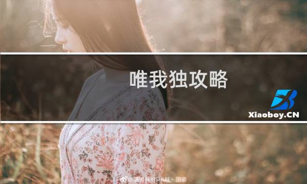 唯我独攻略