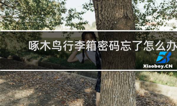 啄木鸟行李箱密码忘了怎么办