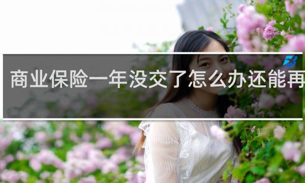 商业保险一年没交了怎么办还能再交吗