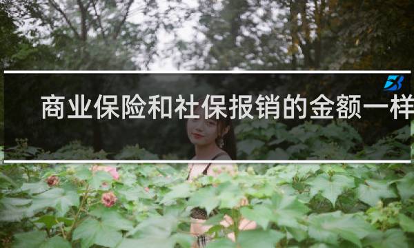 商业保险和社保报销的金额一样吗