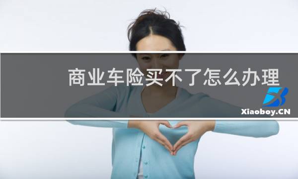 商业车险买不了怎么办理