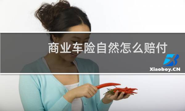 商业车险自然怎么赔付