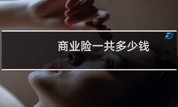 商业险一共多少钱