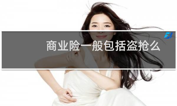 商业险一般包括盗抢么