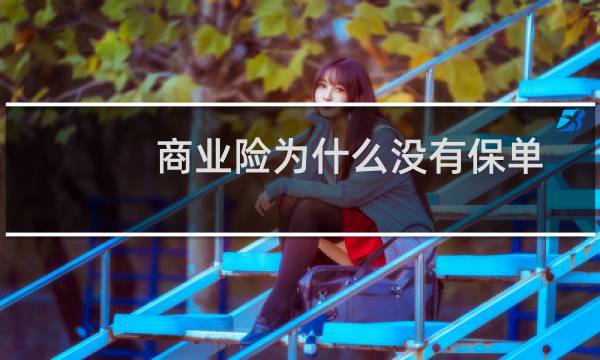 商业险为什么没有保单