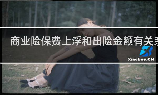 商业险保费上浮和出险金额有关系吗