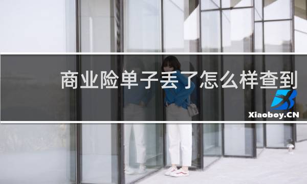 商业险单子丢了怎么样查到