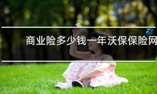 商业险多少钱一年沃保保险网
