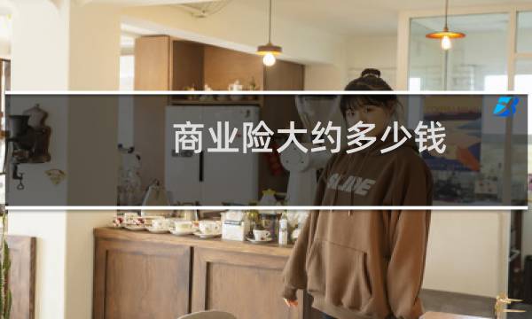 商业险大约多少钱
