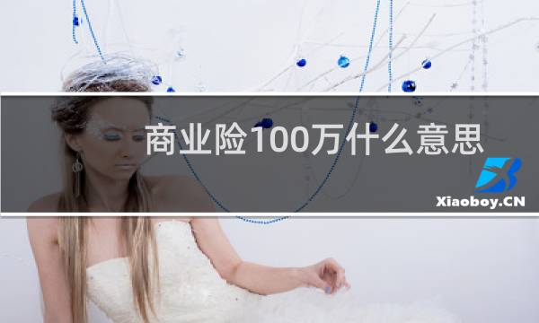 商业险100万什么意思