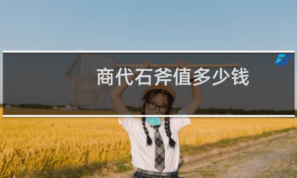 商代石斧值多少钱