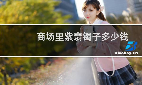 商场里紫翡镯子多少钱