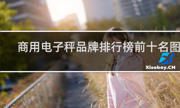商用电子秤品牌排行榜前十名图片