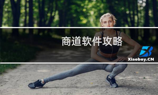 商道软件攻略