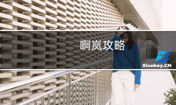 啊岚攻略