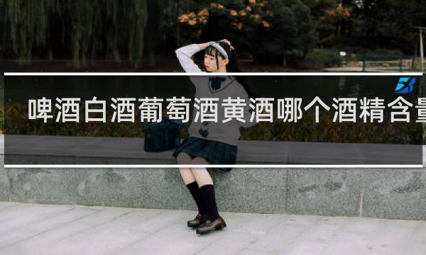 啤酒白酒葡萄酒黄酒哪个酒精含量高