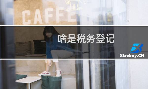 啥是税务登记