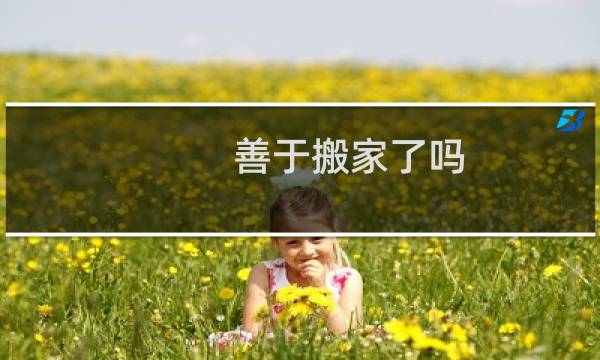 善于搬家了吗