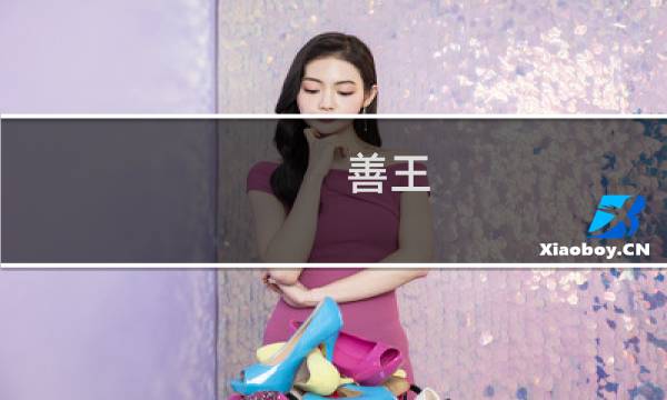 善王  攻略